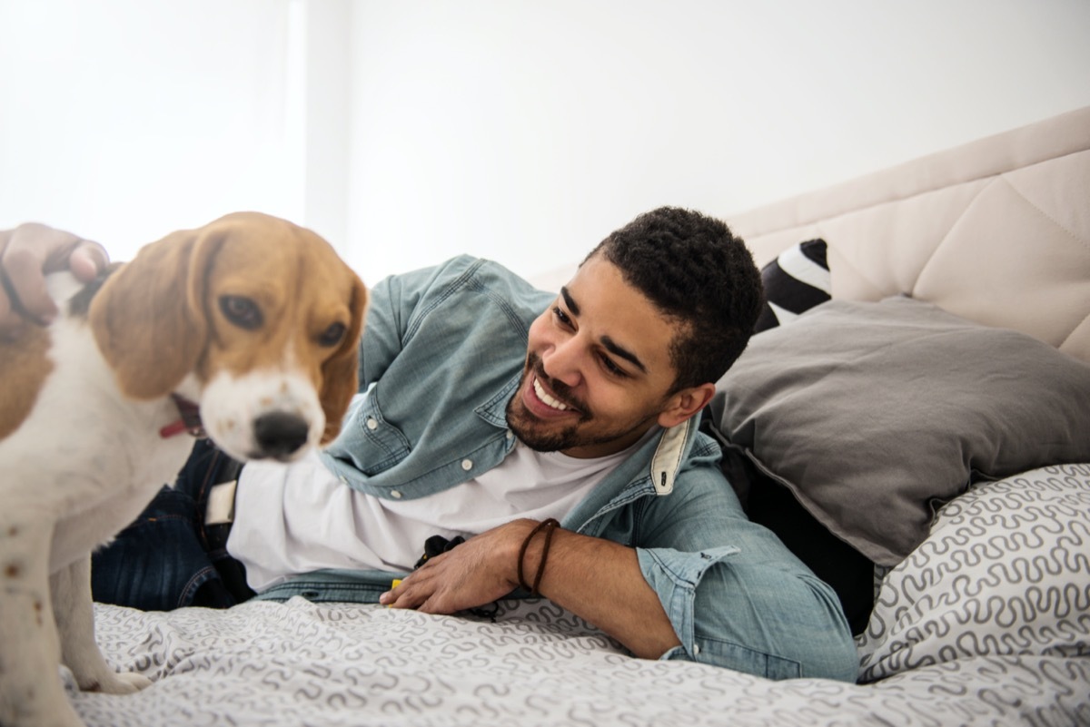 Young man with beagle puppy on bed