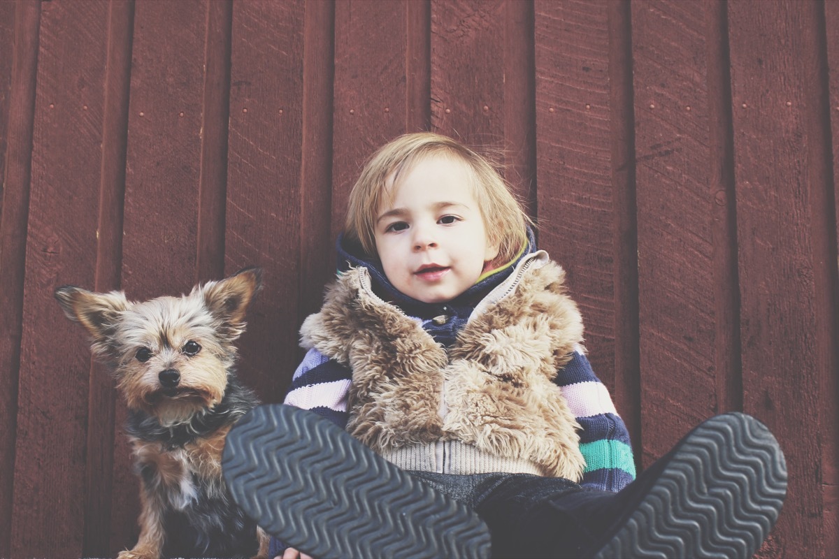 dog and toddler things you never knew dogs could do
