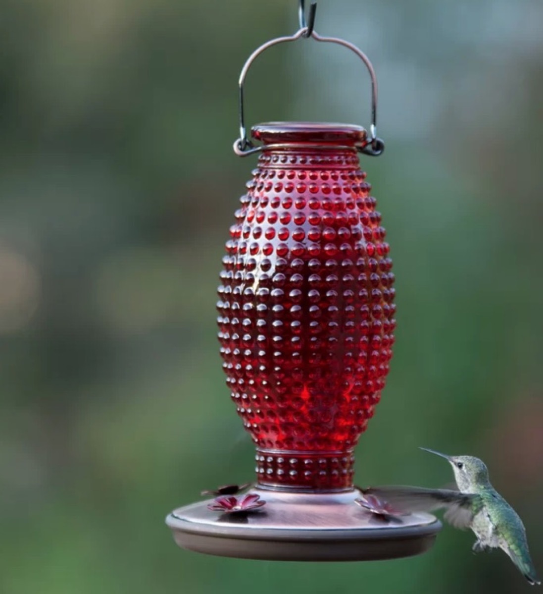 red bottle hummingbird feeder, summer buys under $100