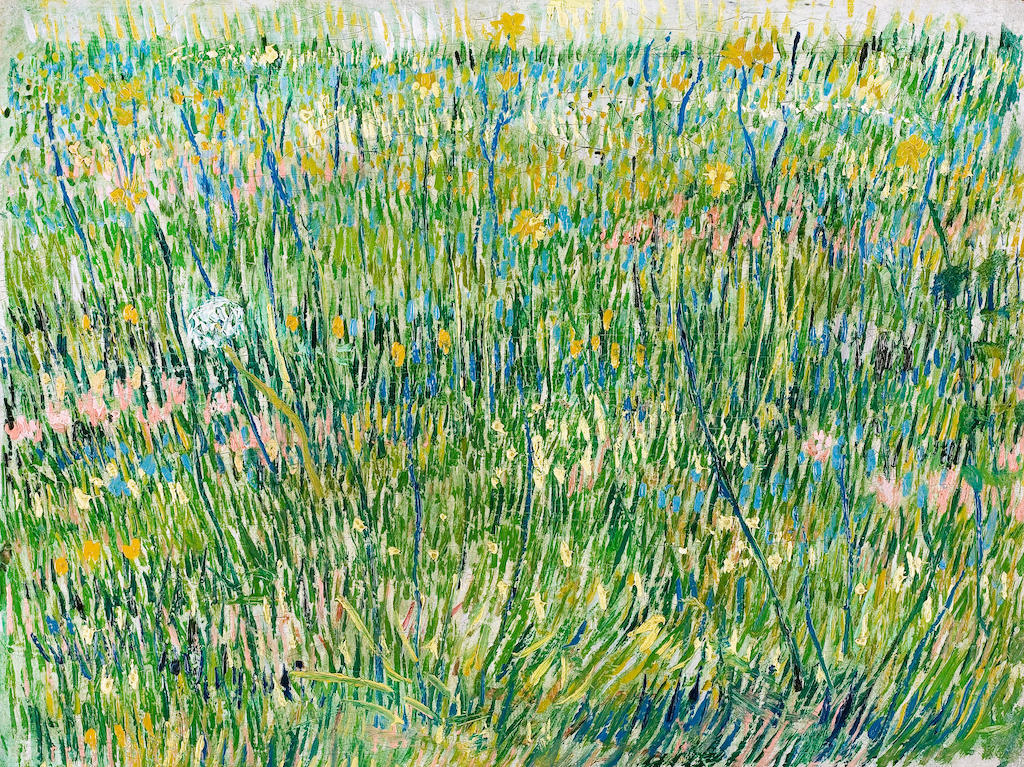 ED8T9W Vincent van Gogh, Patch of Grass 1887 Oil on canvas. Kroller-Muller Museum, Otterlo, Netherlands.