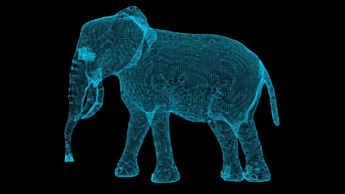 3D hologram of an elephant