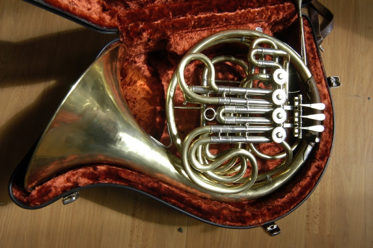 French horn in velvet case, things you should never store in your basement