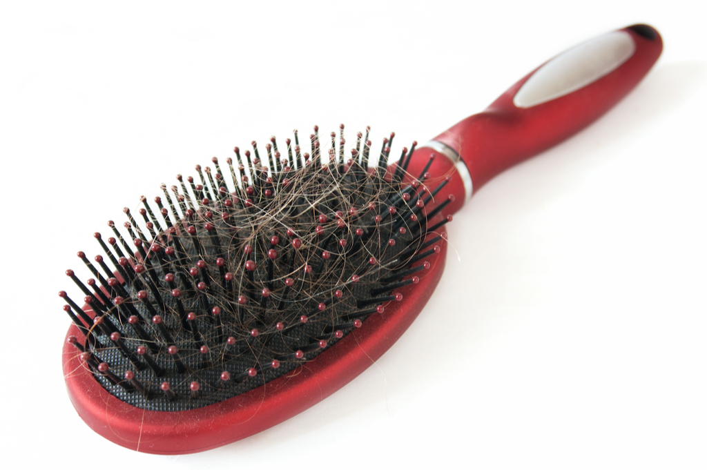 Hair Brush with Hair Signs Your Hair Will Go Gray