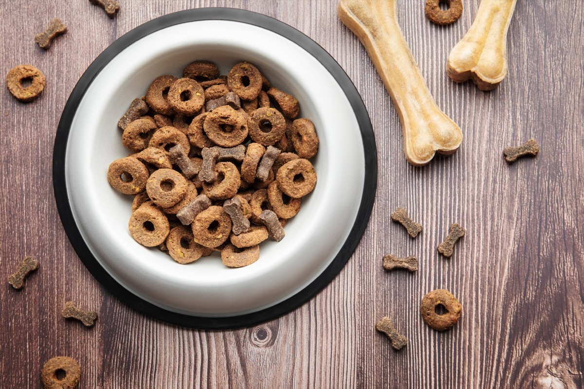 A bowl of dog food and treats in the form of bones on a wooden floor. Dry food in granules.