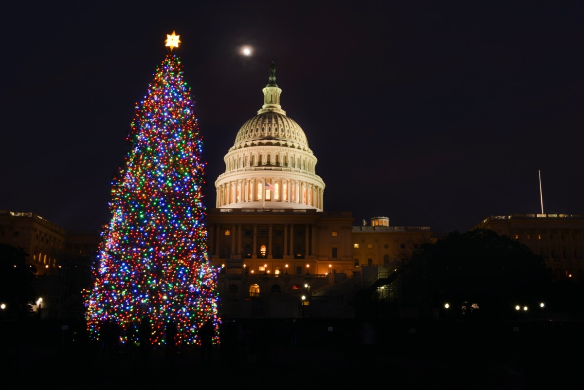 National Christmas Tree at night with Capitol in the background