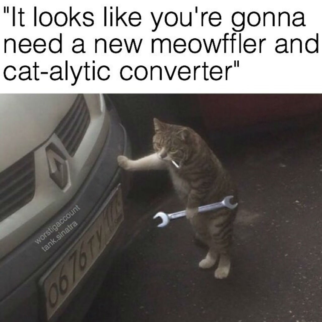 Mechanic cat memes