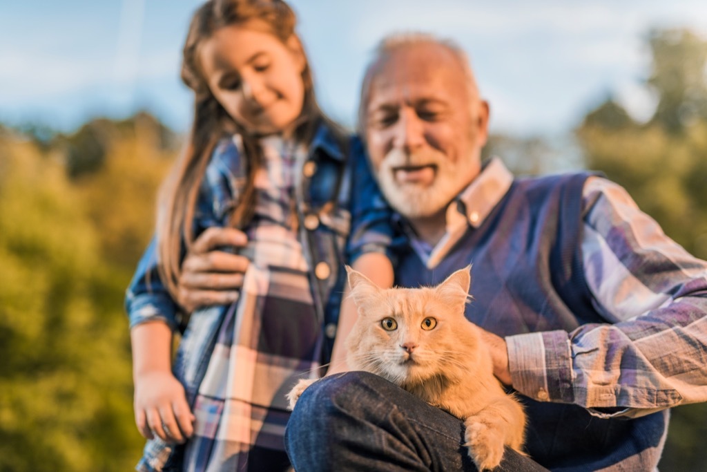 photo of a grandfather and his granddaughter petting their Maine Coon cat. Beautiful autumn day.
