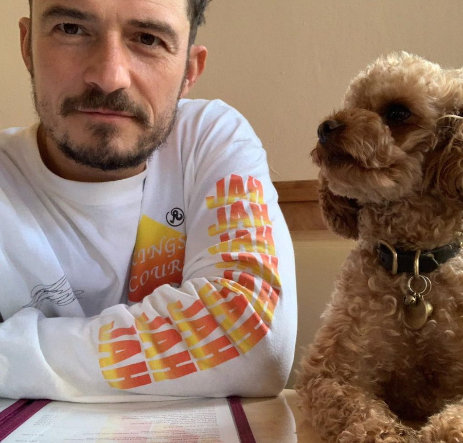 Orlando bloom and his late dog
