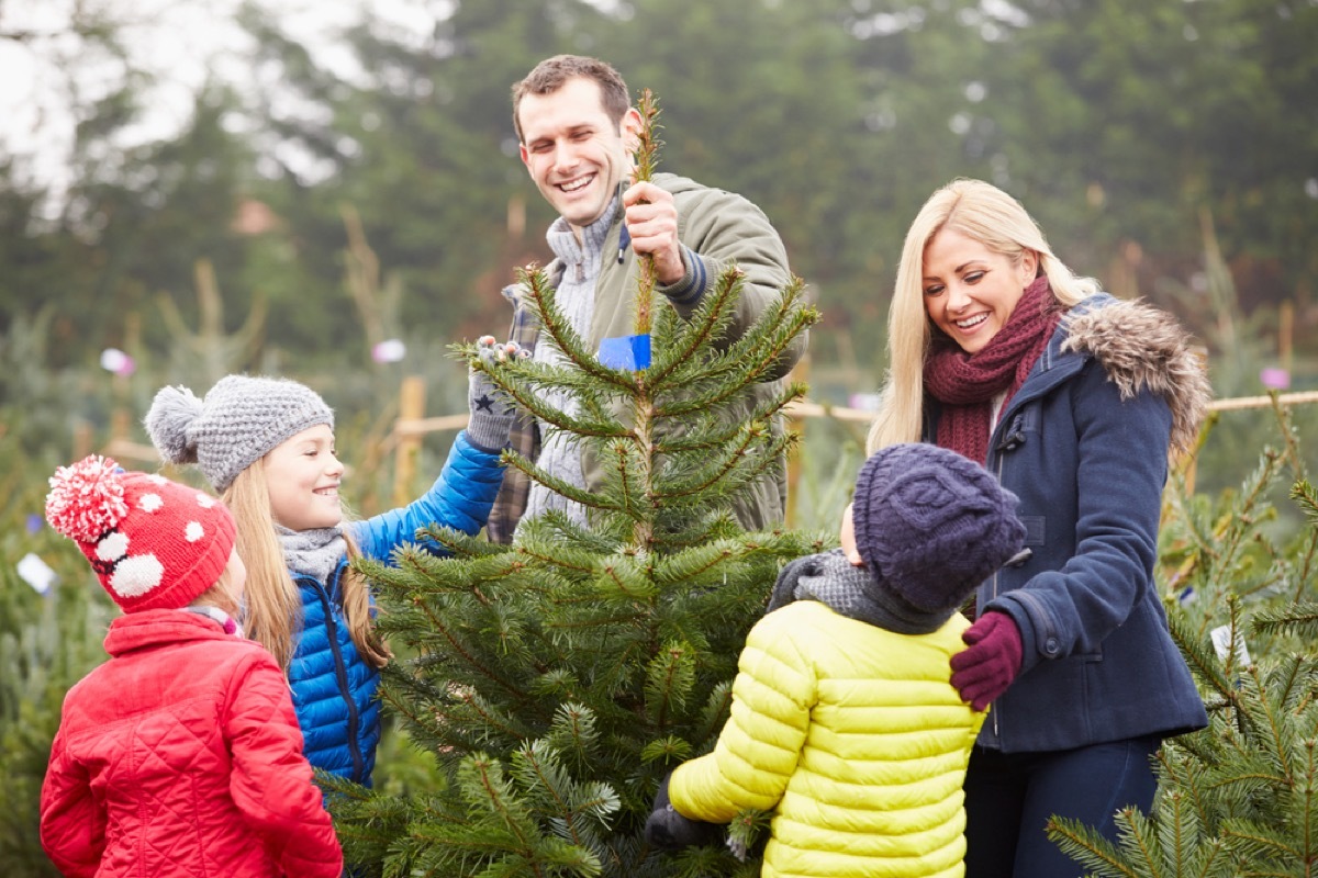 white family choosing christmas tree