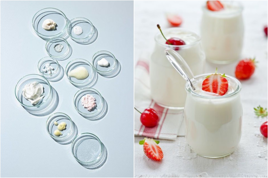 What Are Probiotics | All You Need To Know About Probiotics | Her Beauty