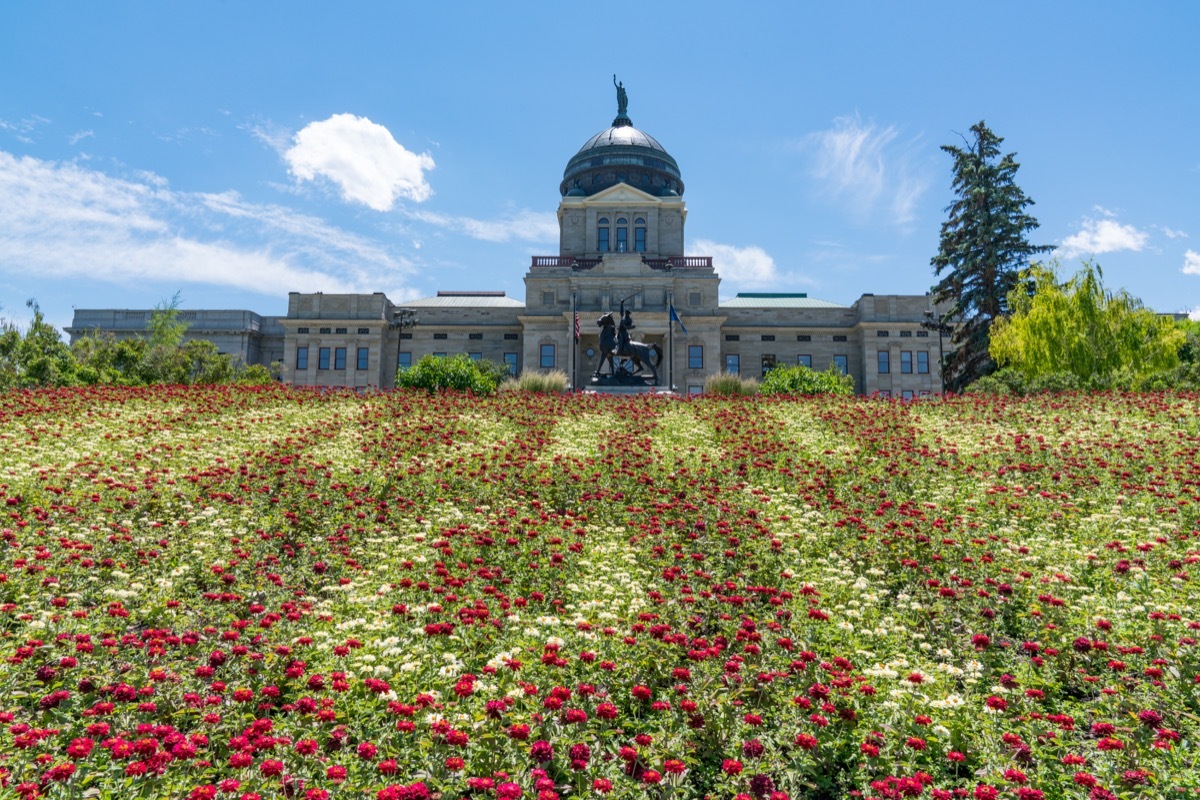 cityscape photo of the Montana State Capitol Building in Helena, Montana
