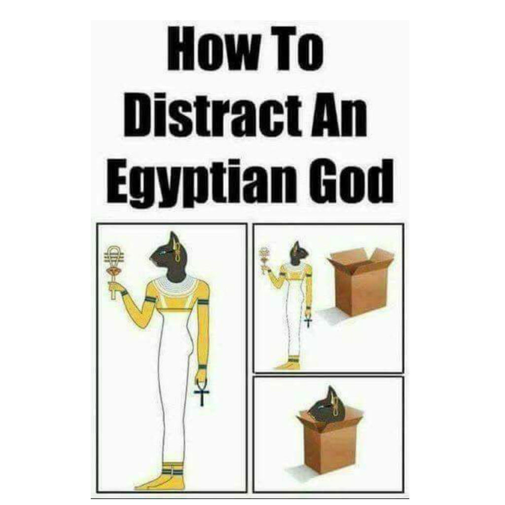 Egyptian cat memes