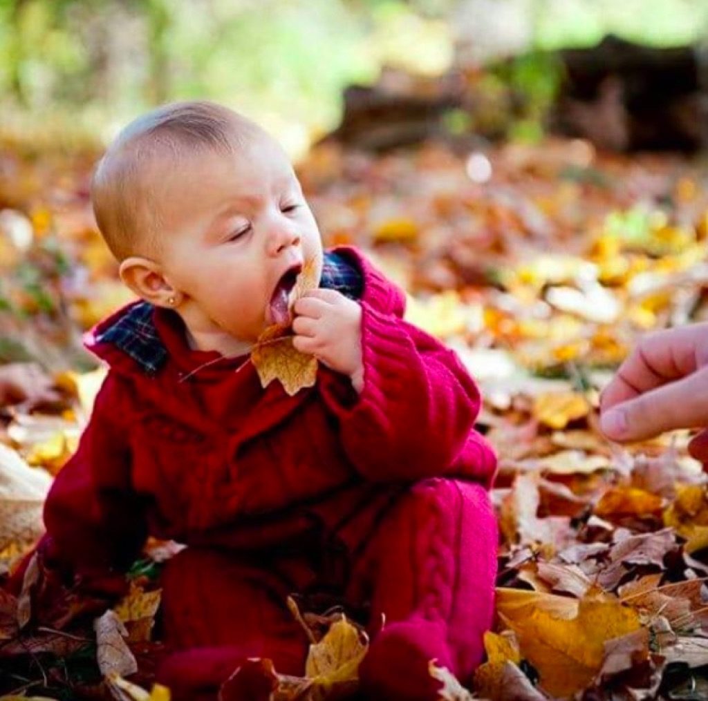 Eating leaves funny kid photos