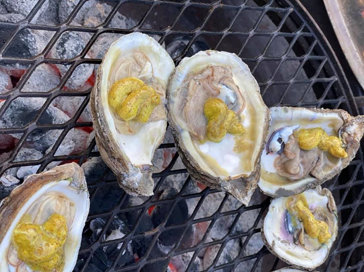 grilled oysters with mustard