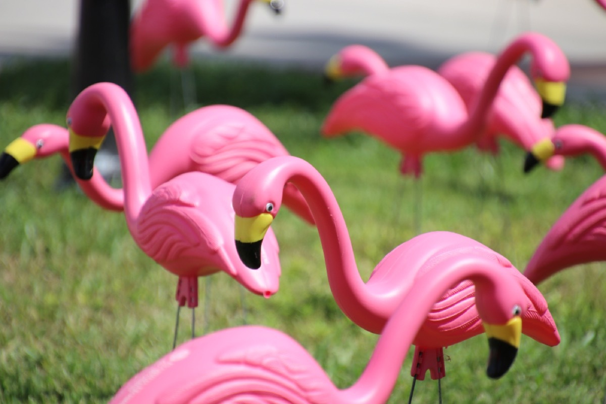pink flamingo lawn decoration, vintage home upgrades