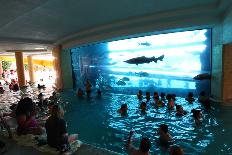 8. Golden Nugget Aquarium Pool, Las Vegas 1