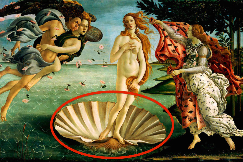 DGXKXG The Birth of Venus - by Sandro Botticelli, 1486 - Editorial use only.