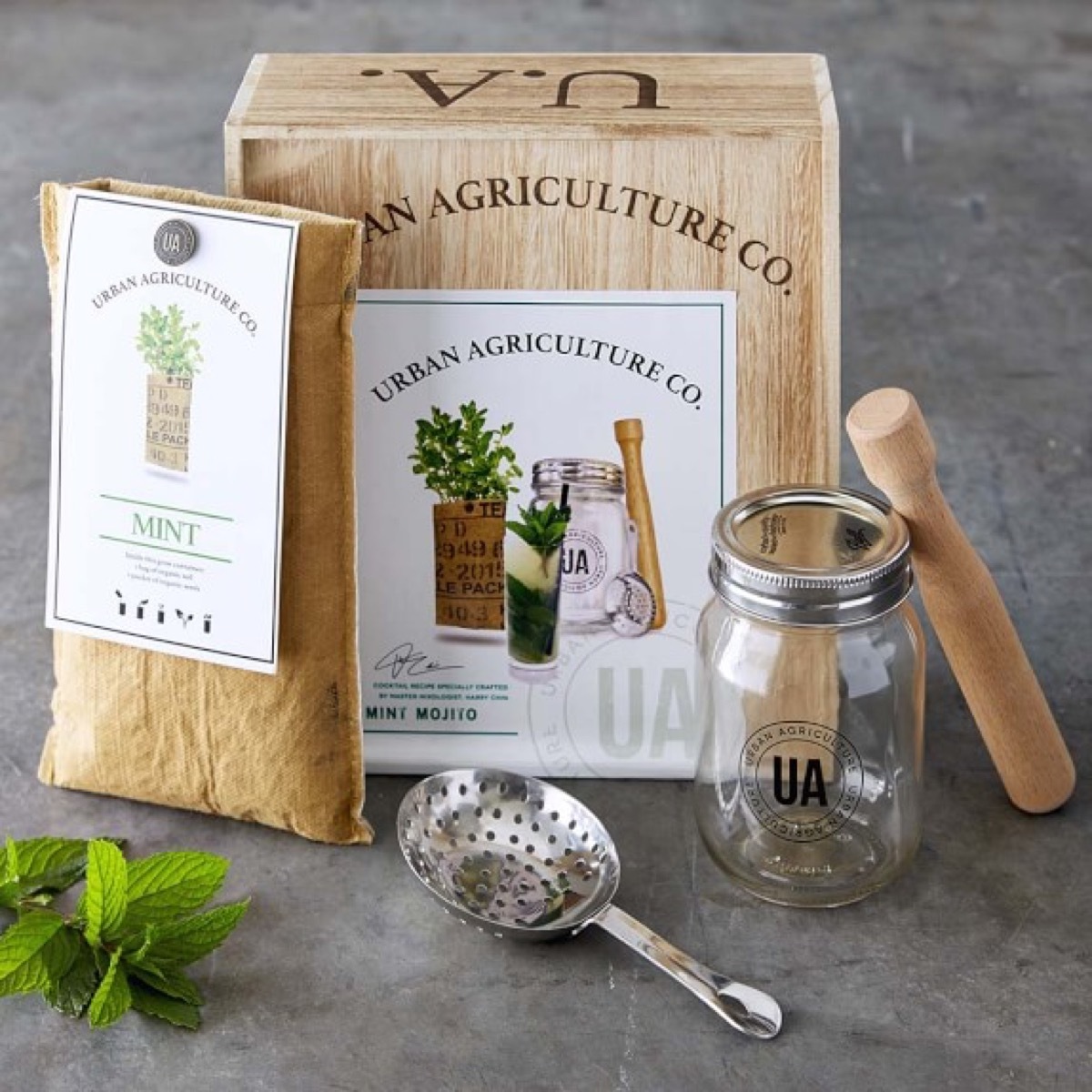 grow your own mojito cocktail kit from williams sonoma
