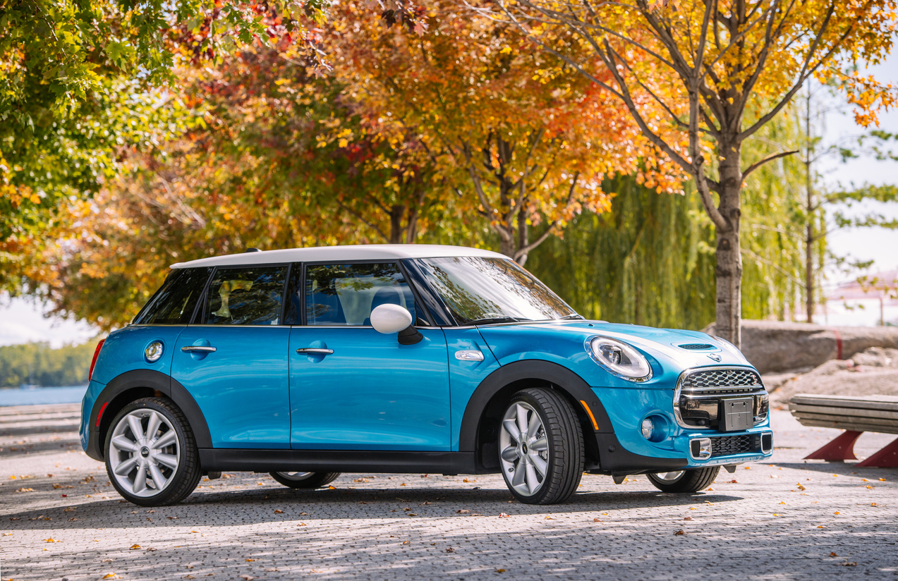 A Mini Cooper car parked under a tree