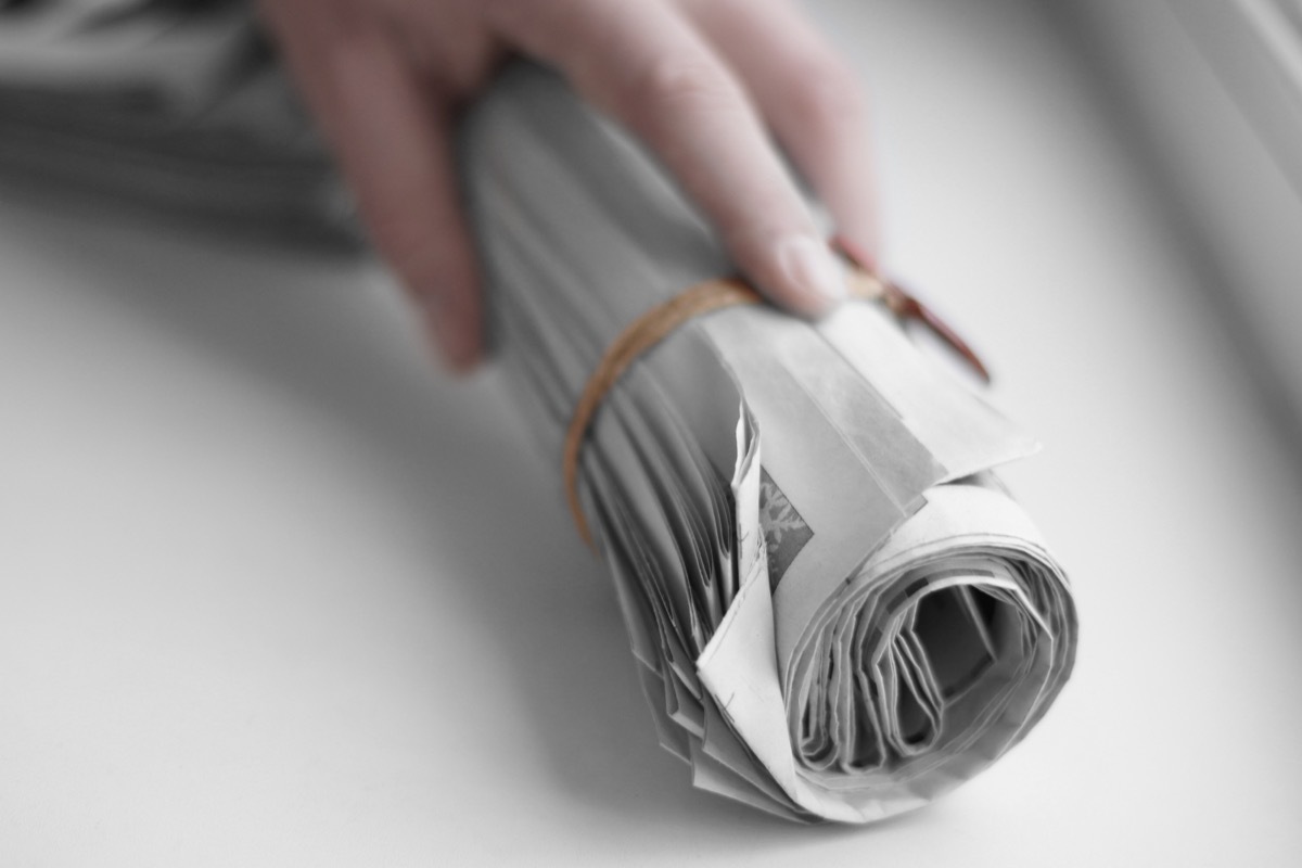 Rolled newspaper in hand