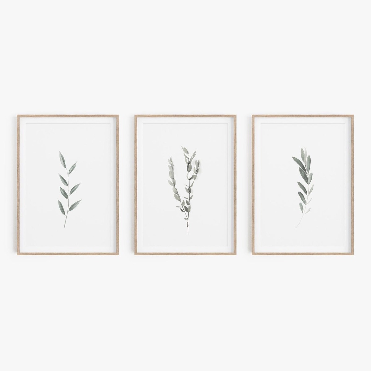 set of three botanical prints on wall
