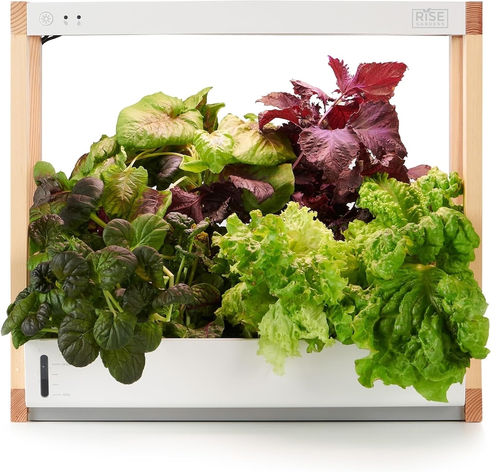 A Rise hydroponic garden with greens growing from it