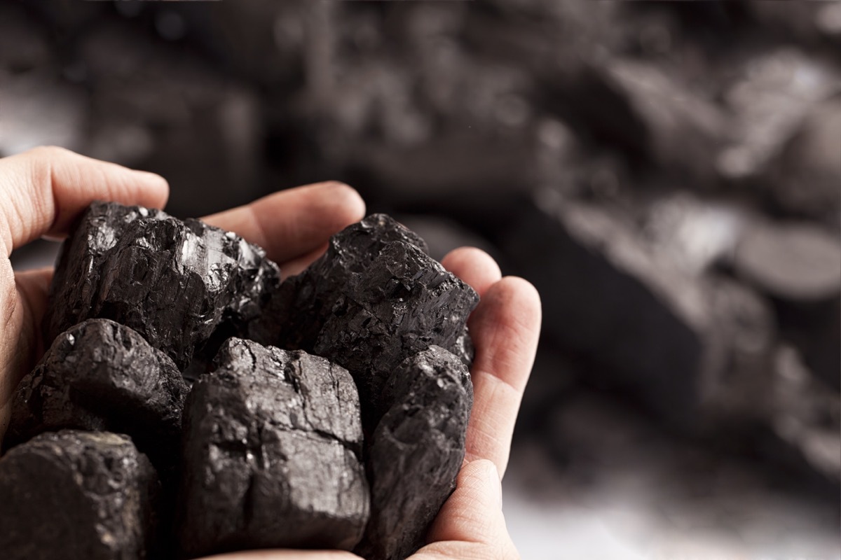 coal in a person's hand