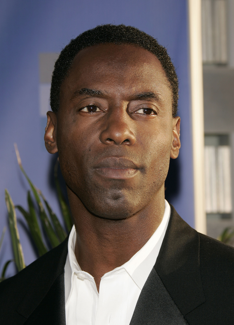 Isaiah Washington at the ABC Summer Press Tour Party 2004 on July 13, 2004 in Century City, CA.