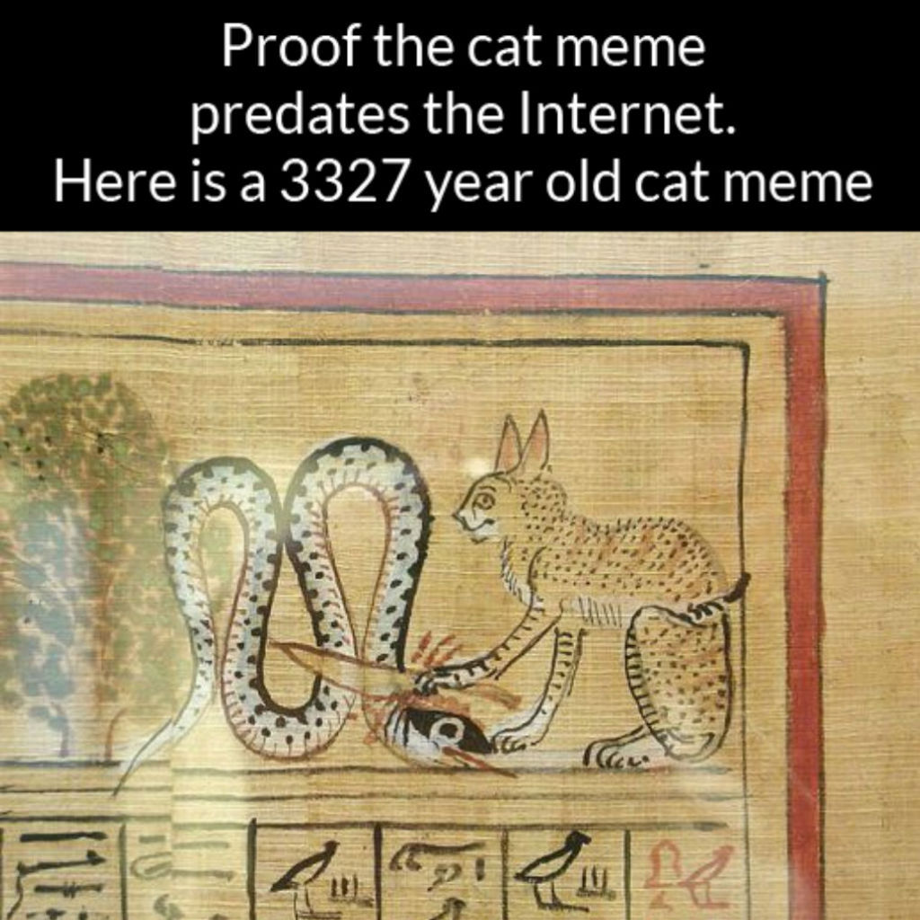 ancient cat memes