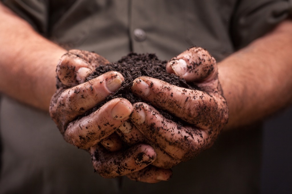 Person holding a pile of dirt