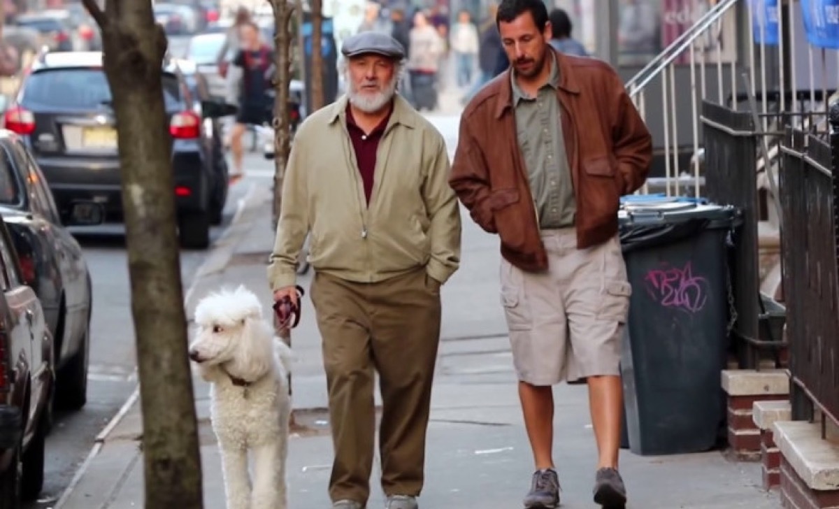 the meyerowitz stories