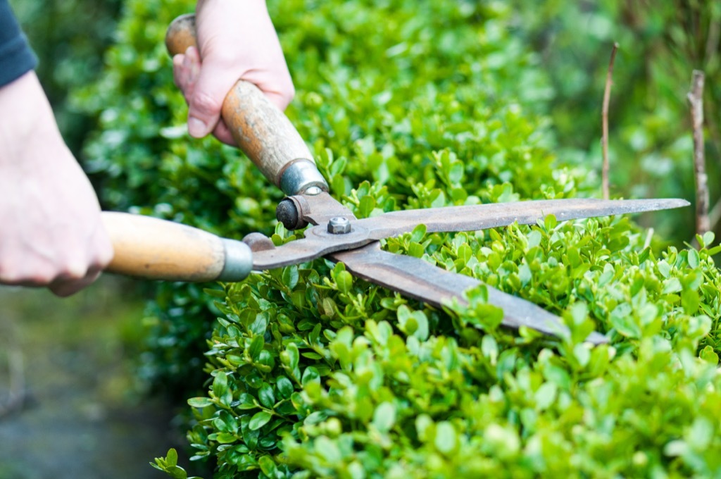 hedge clippers things burglars know about your home