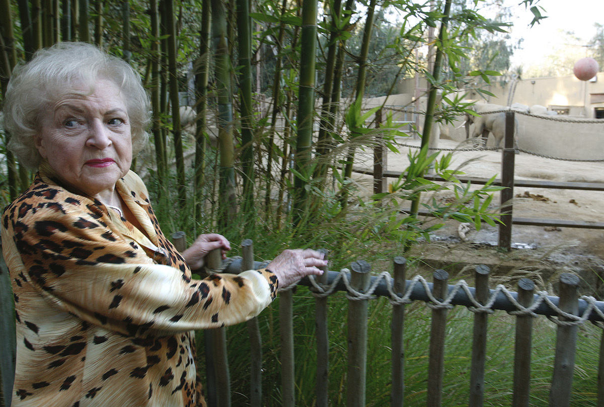 Betty White visiting Billy the elephant in 2008