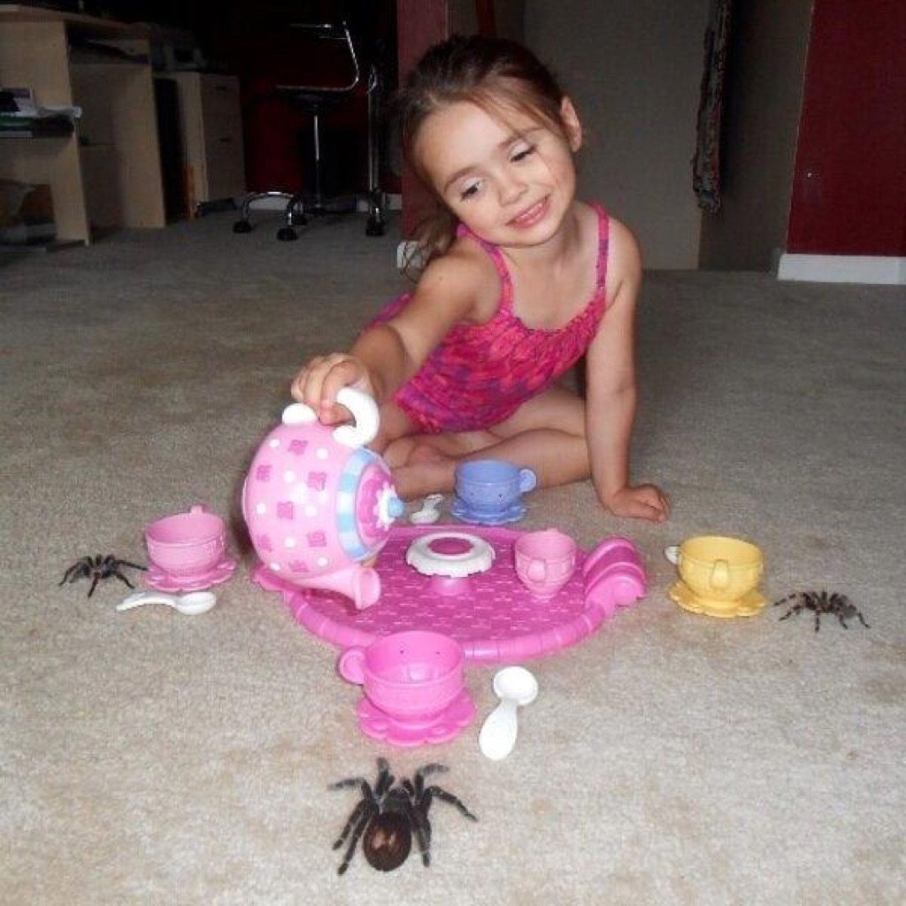 Spider party funny kid photos