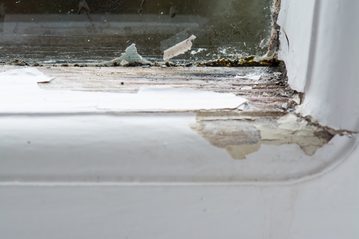 white window frame with rotten wood