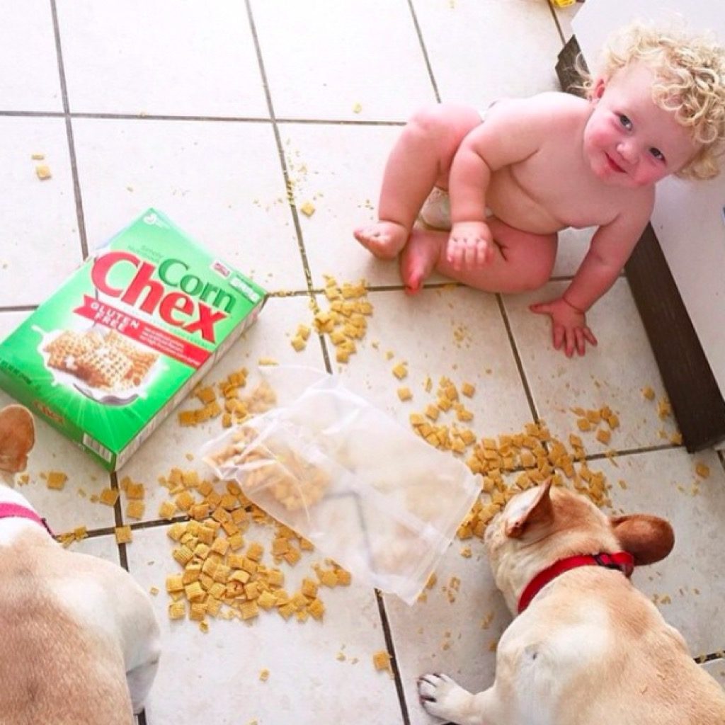 Baby and puppy funny kid photos