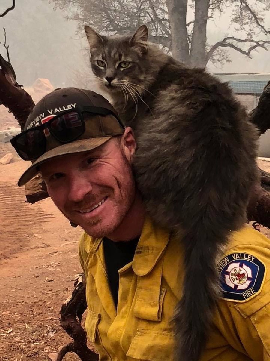 Cat Rescued from Wildfires {Animal Stories}
