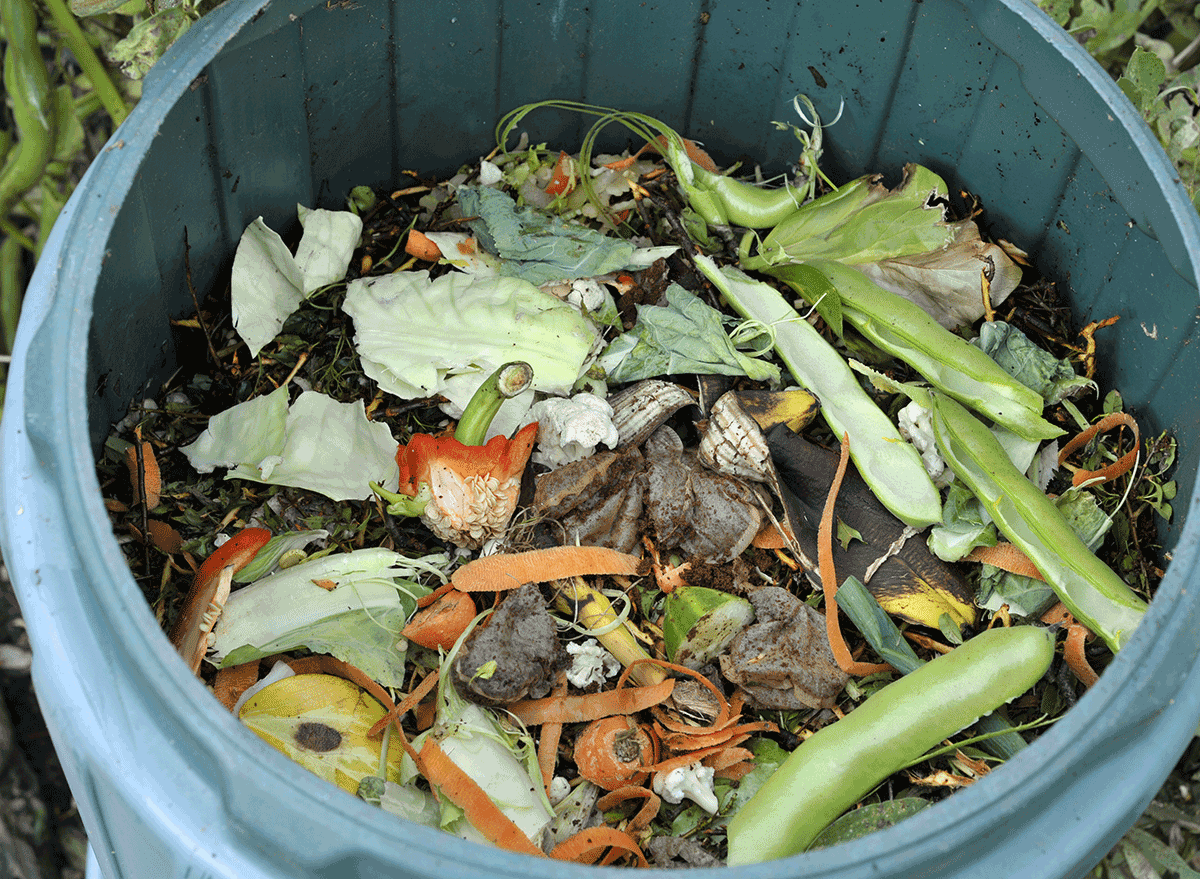 compost pile in bin