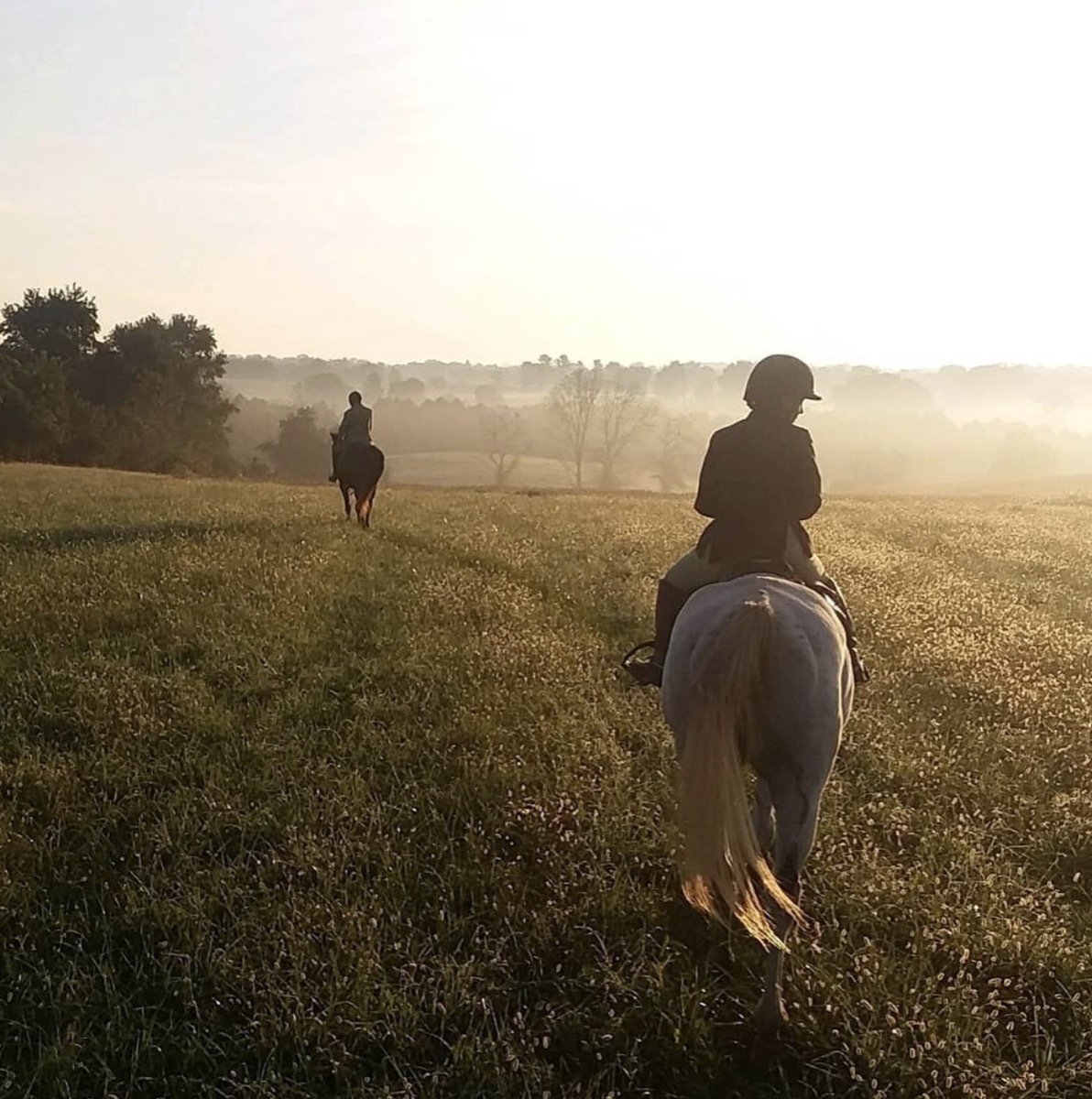 mackenzie rosman on horseback riding across a field