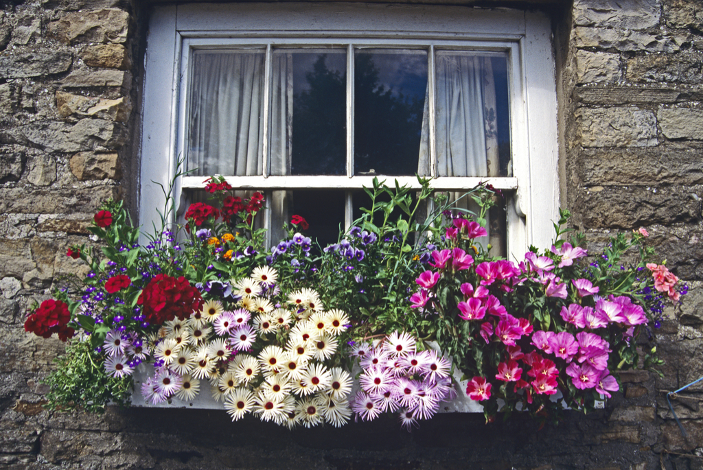 Window Boxes Boosting Your Home's Curb Appeal