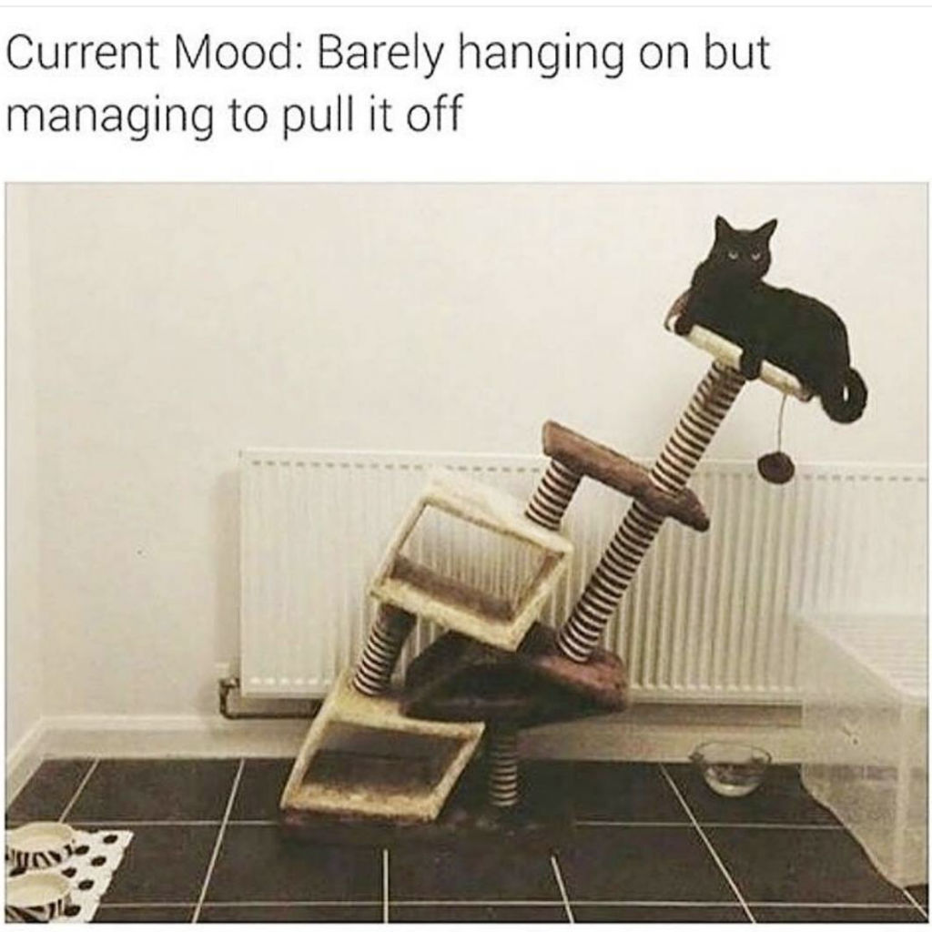 Hang in there cat memes