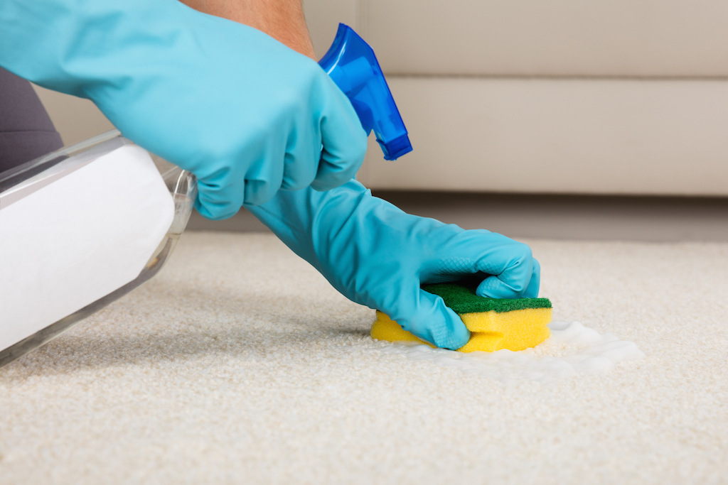 Cleaning a carpet stain with a spray bottle, common cleaning tips