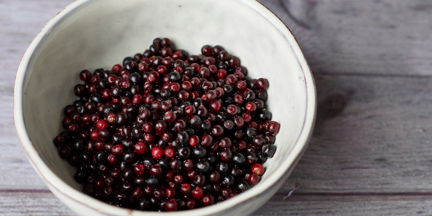Elderberries | 10 Healthy Foods That Are Poisonous When Eaten Wrong | Her Beauty