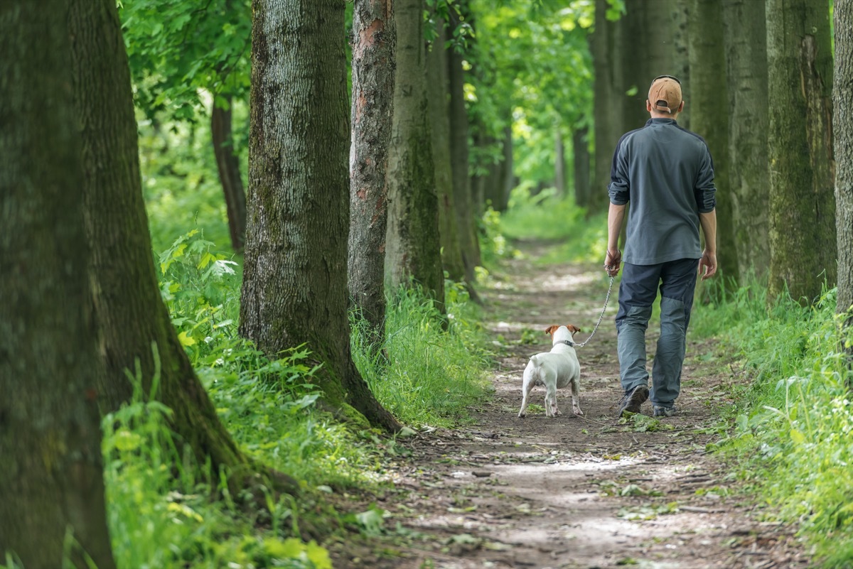Man walking dog in woods