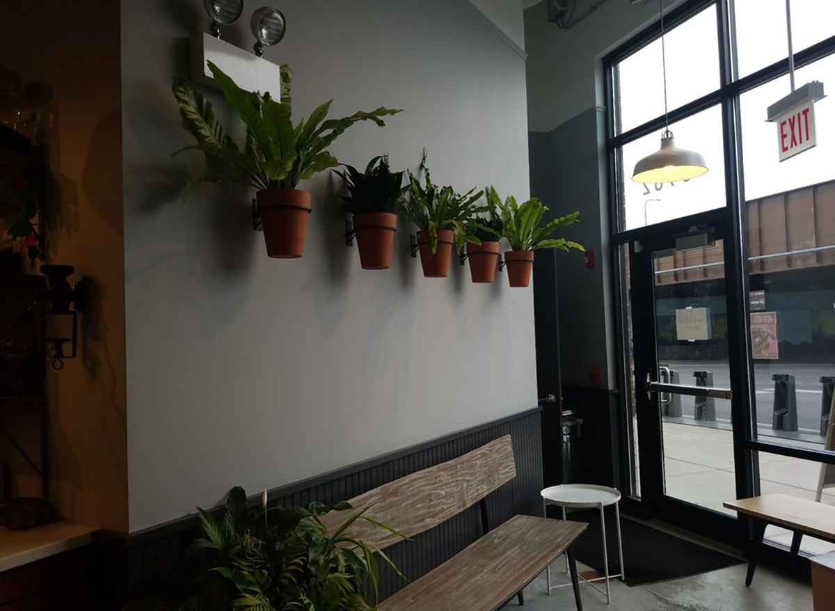 interior of backlot coffee in chicago with hanging potted plants and wooden bench
