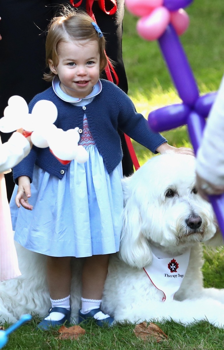 Princess Charlotte plays with a dog named Moose at a children's party at a children's party for Military families at Government House in Victoria during the Royal Tour of Canada.