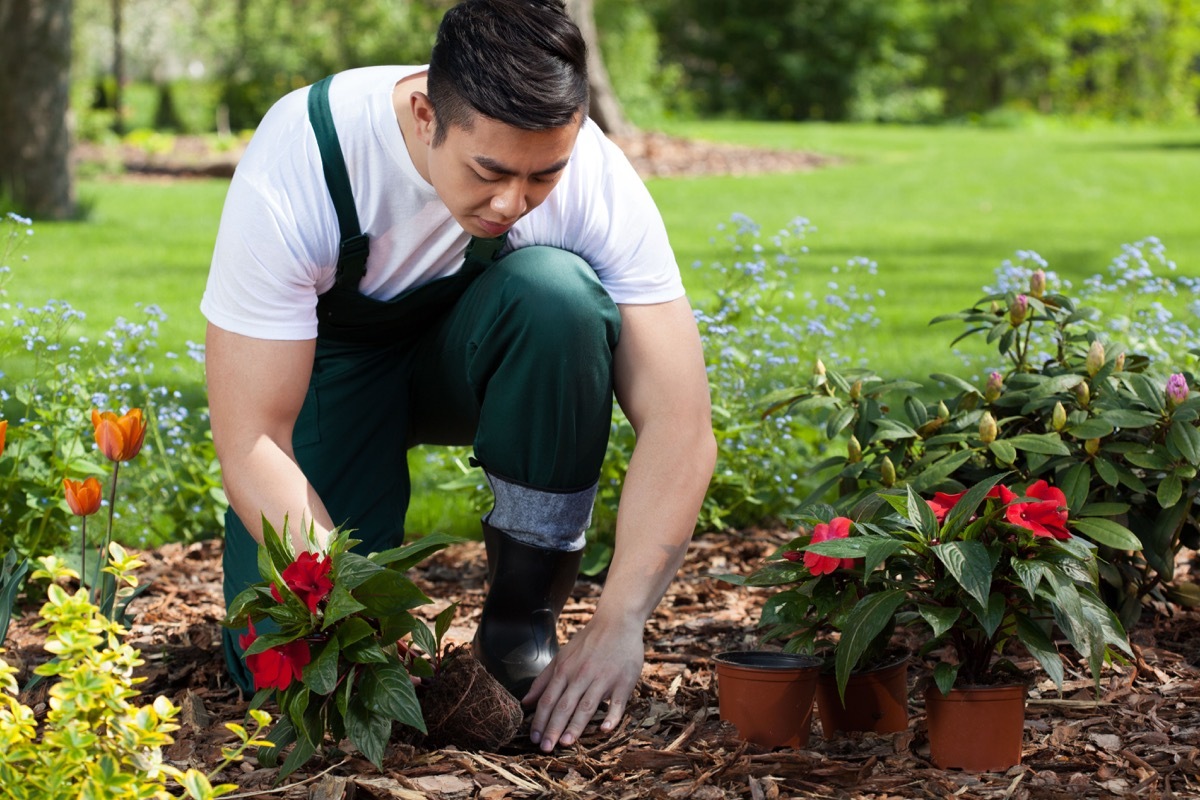Man planting flower in garden