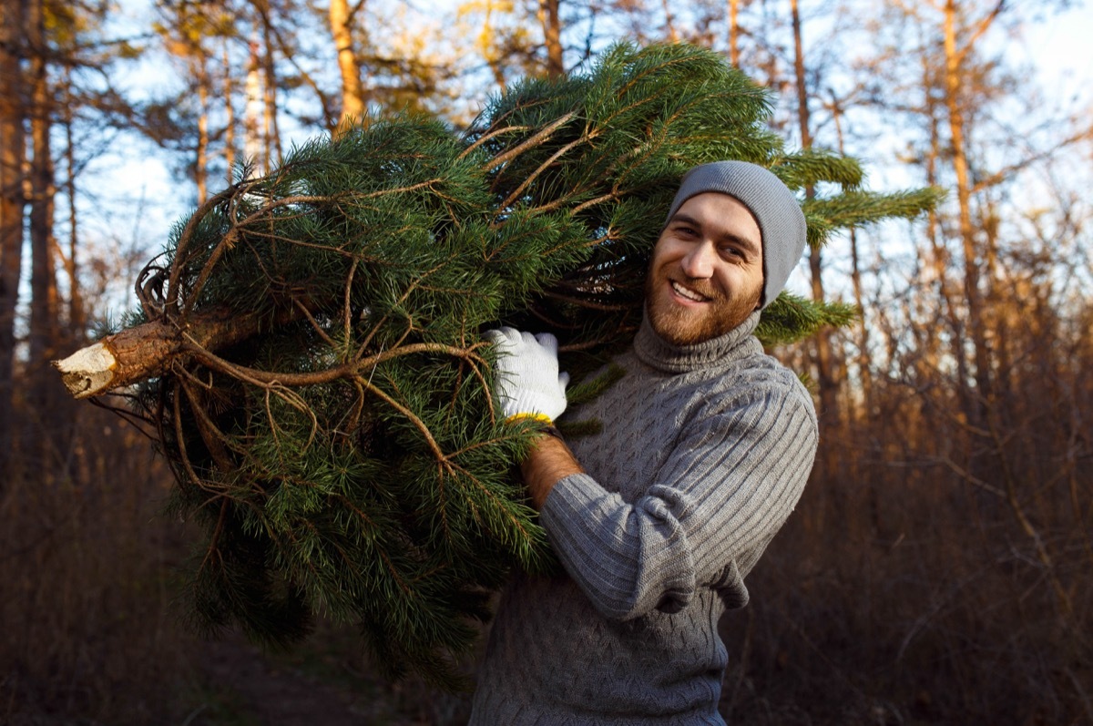 young man carrying christmas tree