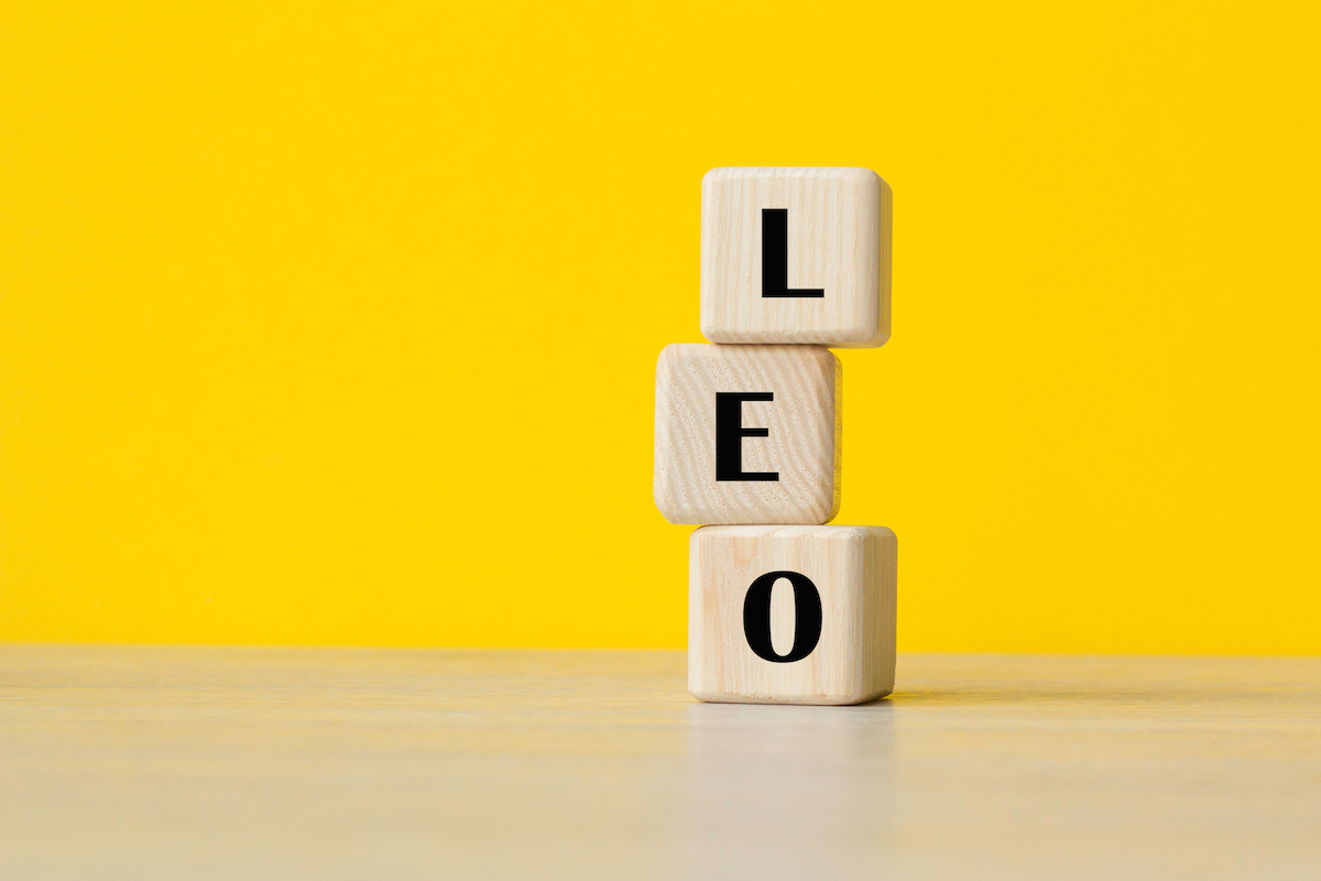 Wooden blocks stacked vertically spelling the name Leo against a yellow background