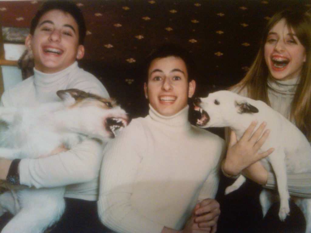 Dogs fighting during hilarious family photo